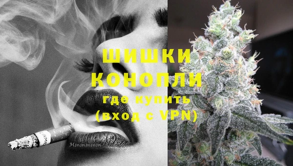 apvp Белокуриха