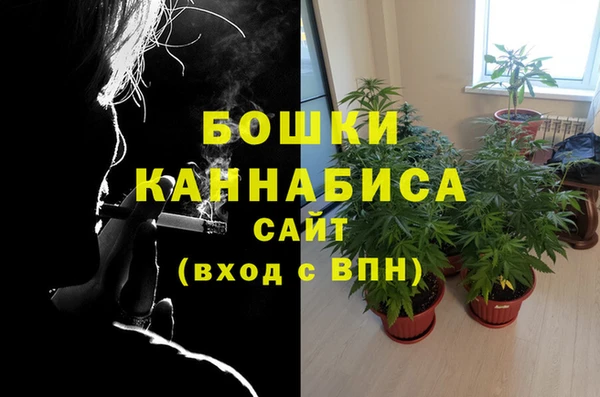apvp Белокуриха